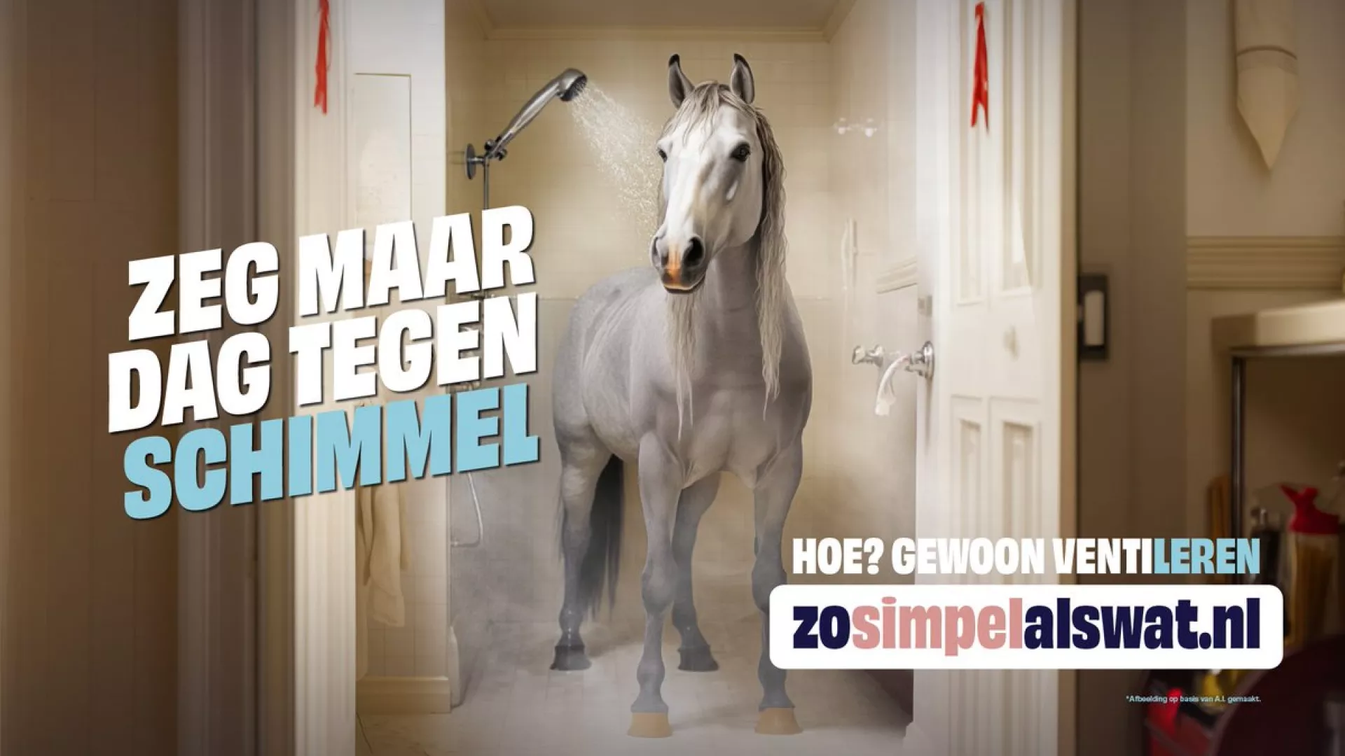 Campagneposter zosimpelalswat.nl