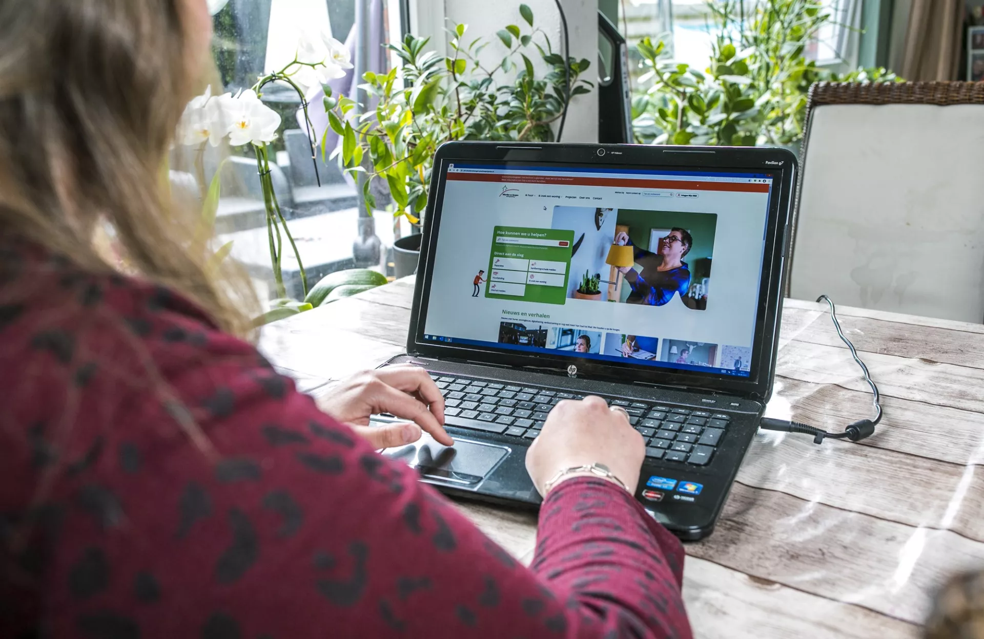 Informatie opzoeken op website