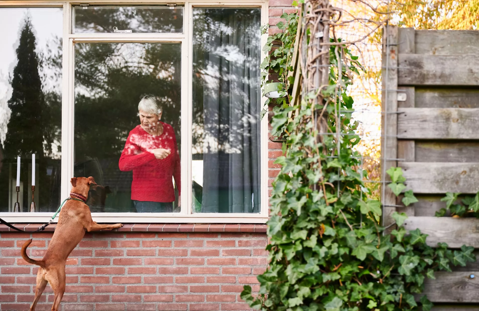 Huurder heeft overlast van hond
